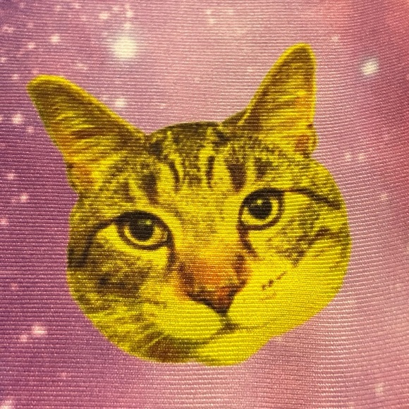 🐈‍⬛CoolFeline Or🙀BADDKittyVibes Pre-Loved Stretchy Shorts Sz-M/L Kids or XS Jrs. - Picture 4 of 16